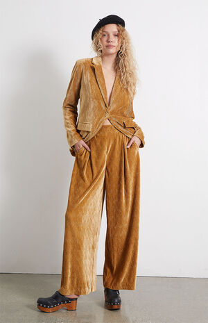 Arianna Crushed Velvet Pants image number 1