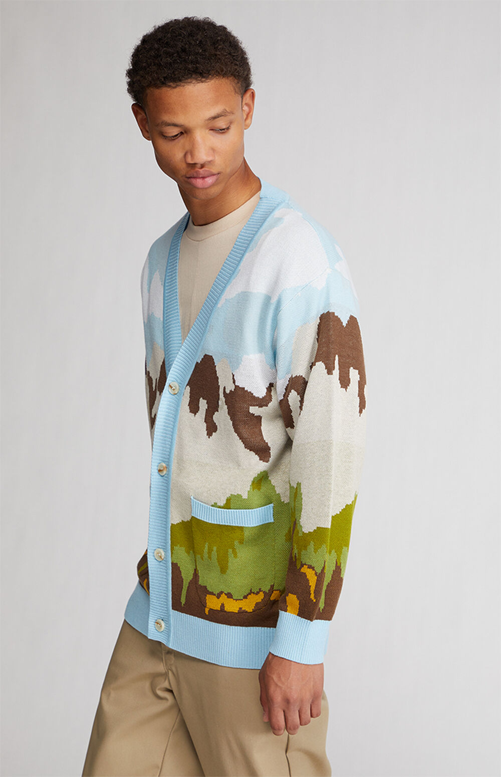 PacSun Scenic Cardigan PacSun