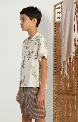 Brown Stripe Volley Shorts image number 2