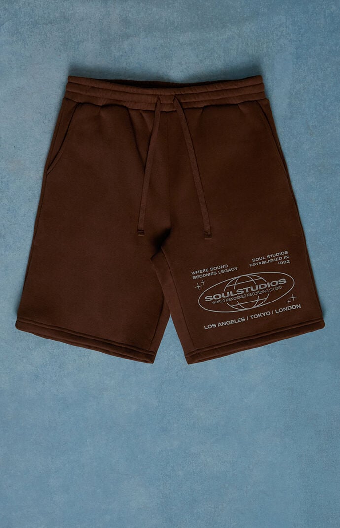 Pacsun Soul Studios Fleece Baggy Sweat Shorts