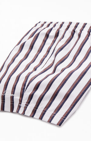 Baja Striped 4.5 Swim Trunks image number 4