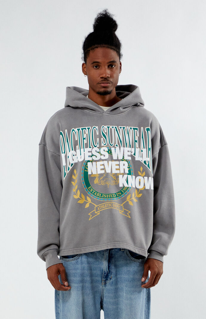 PacSun Pacific Sunwear Dropout Hoodie PacSun