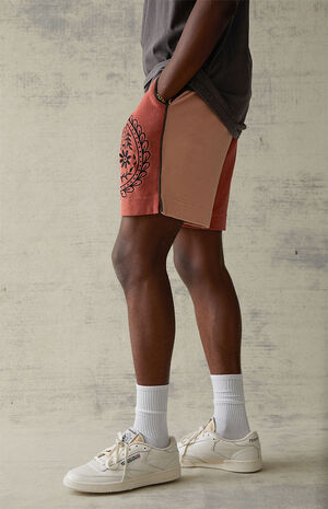 Terry Colorblock Shorts image number 4