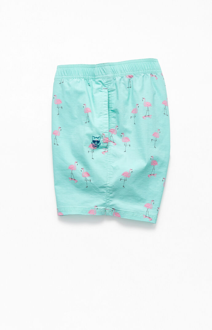 Cruiser 16" Swim Trunks