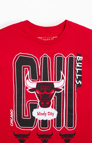 NBA Retro City Chicago Bulls T-Shirt image number 2