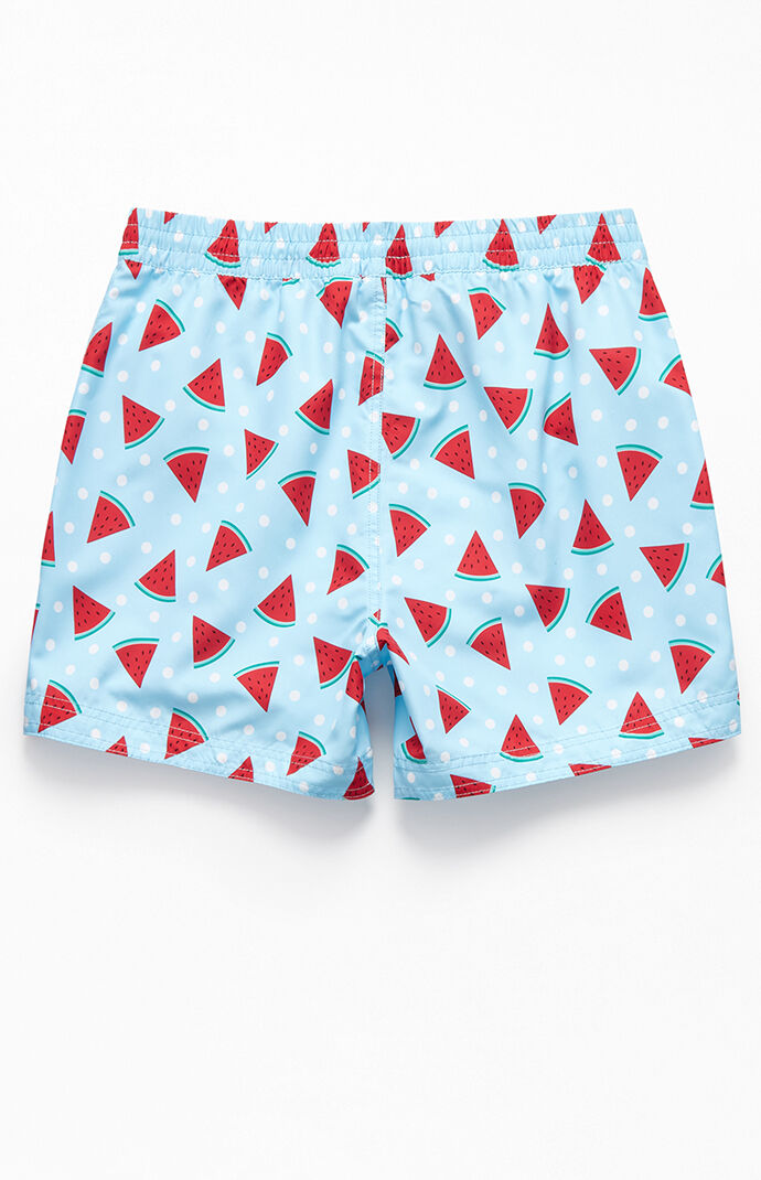 mens watermelon swim trunks