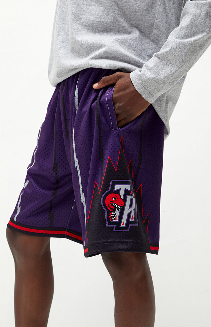 Toronto Raptors Shorts - Toronto Raptors Icon Edition 2020 Nike Nba Swingman Shorts Fur Herren Nike Be : That alone should give the toronto raptors confidence for this year's playoffs.