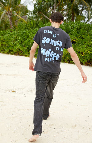 Pacific Sunwear Grateful T-Shirt image number 5