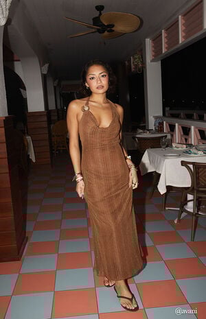 India Sheer Shine Cowl Maxi Dress image number 1