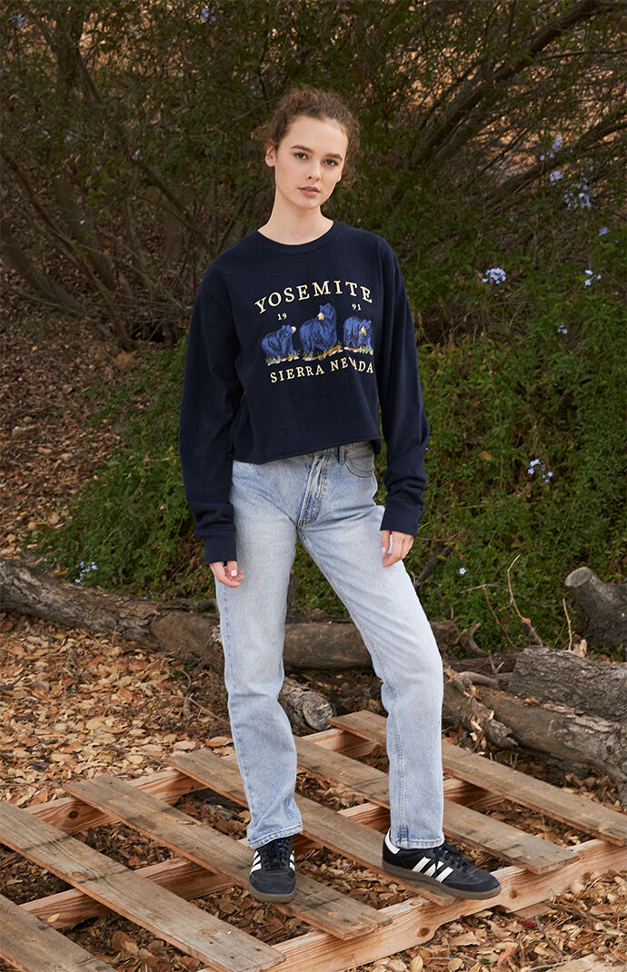 Pacsun online yosemite hoodie