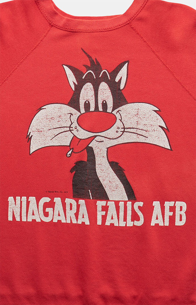 PS VINTAGE 90s Niagara Falls Looney Tunes Crew Neck Sweatshirt