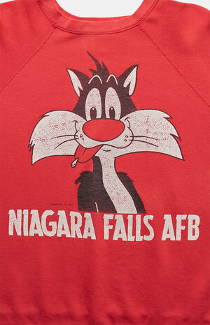 90s Niagara Falls Looney Tunes Crew Neck Sweatshirt image number 5
