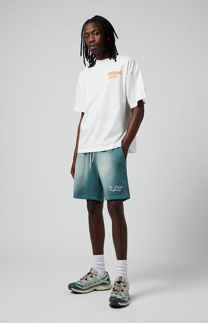 Pacsun Green Potassium Fleece Volley Sweat Shorts | PacSun