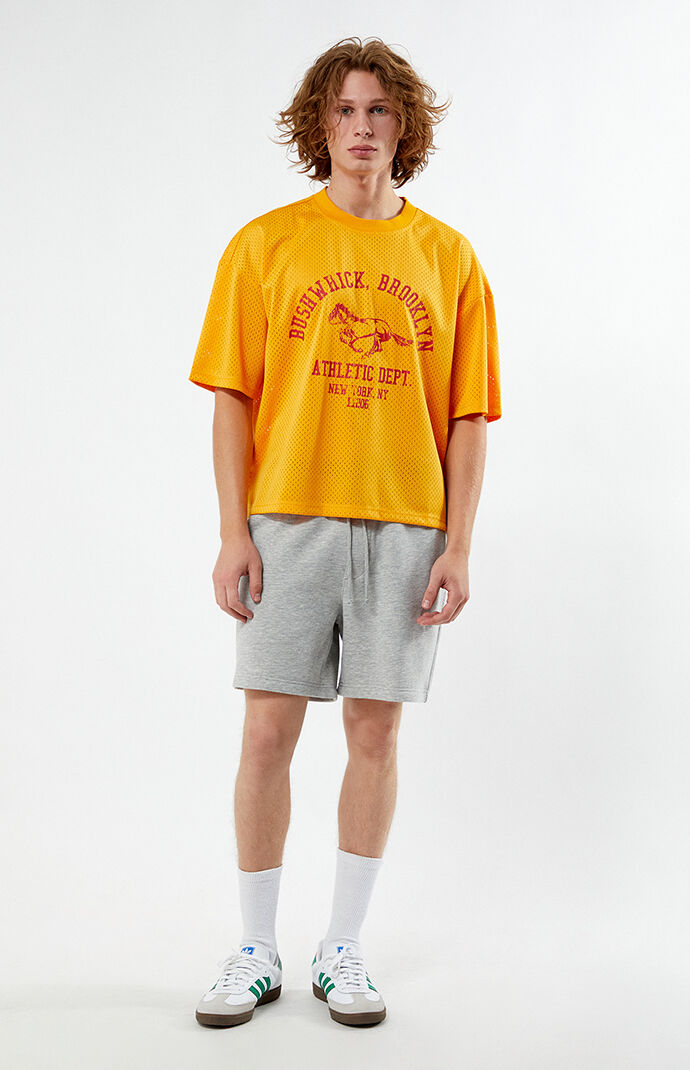 PacSun Fleece Grey Sweat Shorts PacSun