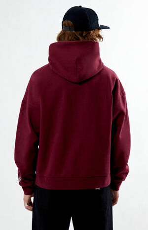 x PacSun ESDA Hoodie image number 3