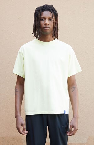 Pale Green Vintage Wash Heavyweight Cropped Boxy T-Shirt image number 2