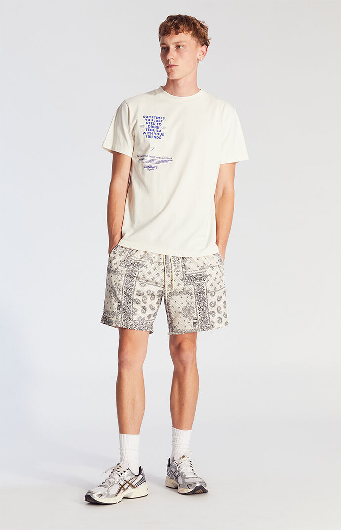 Pacsun Cream Aaron Paisley Mesh Volley Shorts | Pacsun