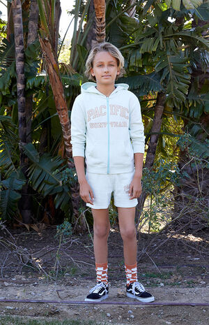 Pacific Sunwear Zip Hoodie image number 6