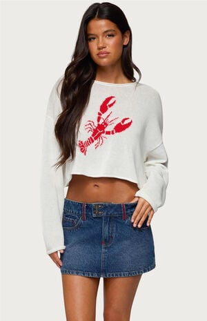 Lobster Babe Oversized Knit Top image number 1