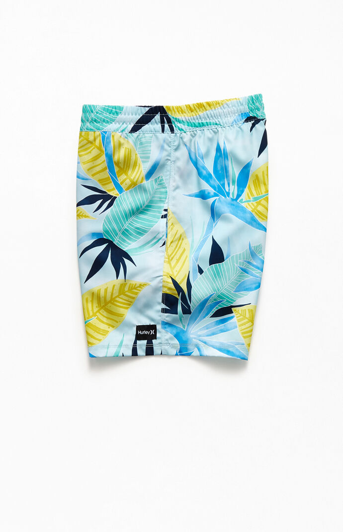Bird Rock 17" Swim Trunks