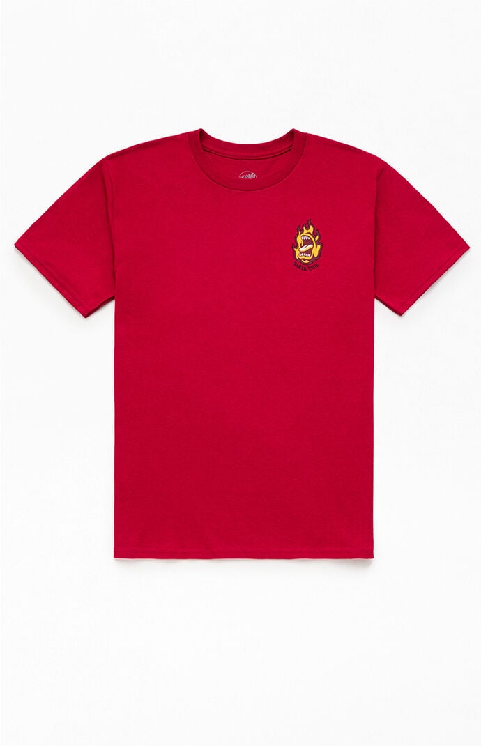 Santa Cruz Kids Ringed Screaming Flame T-Shirt