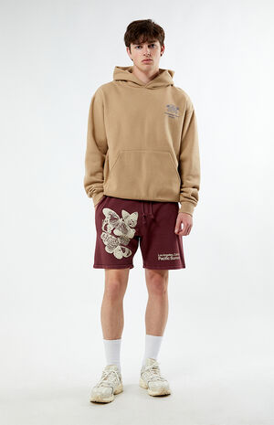 Pacific Sunwear Patterns Sweat Shorts image number 4