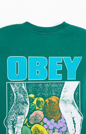 An Abundance Of Life Heavyweight T-Shirt image number 4