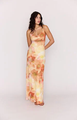 Aria Mesh Maxi Dress image number 1