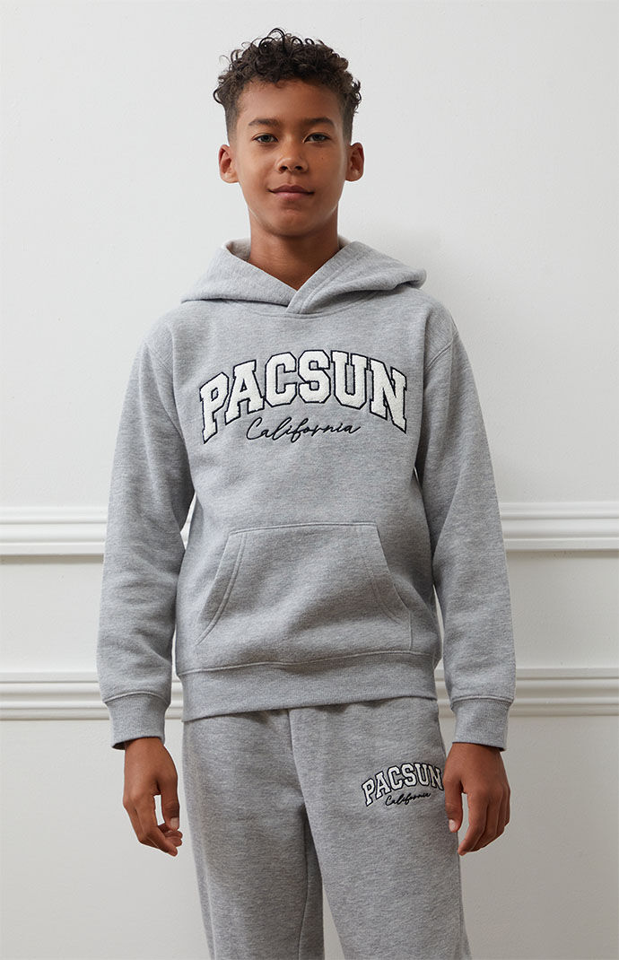 Pacsun grey on sale hoodie