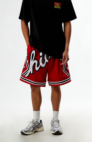 NBA Chicago Bulls Mesh Basketball Shorts image number 2