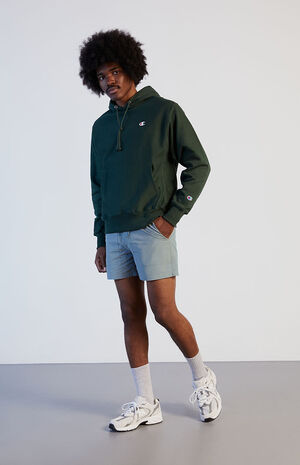 Gray Nylon Volley Shorts image number 2