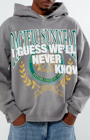 Pacific Sunwear Dropout Hoodie image number 2