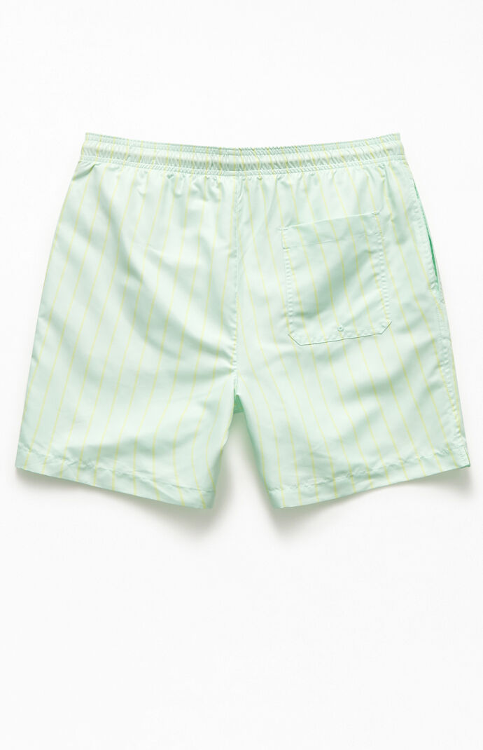 Mint Pinstripe 17" Swim Trunks