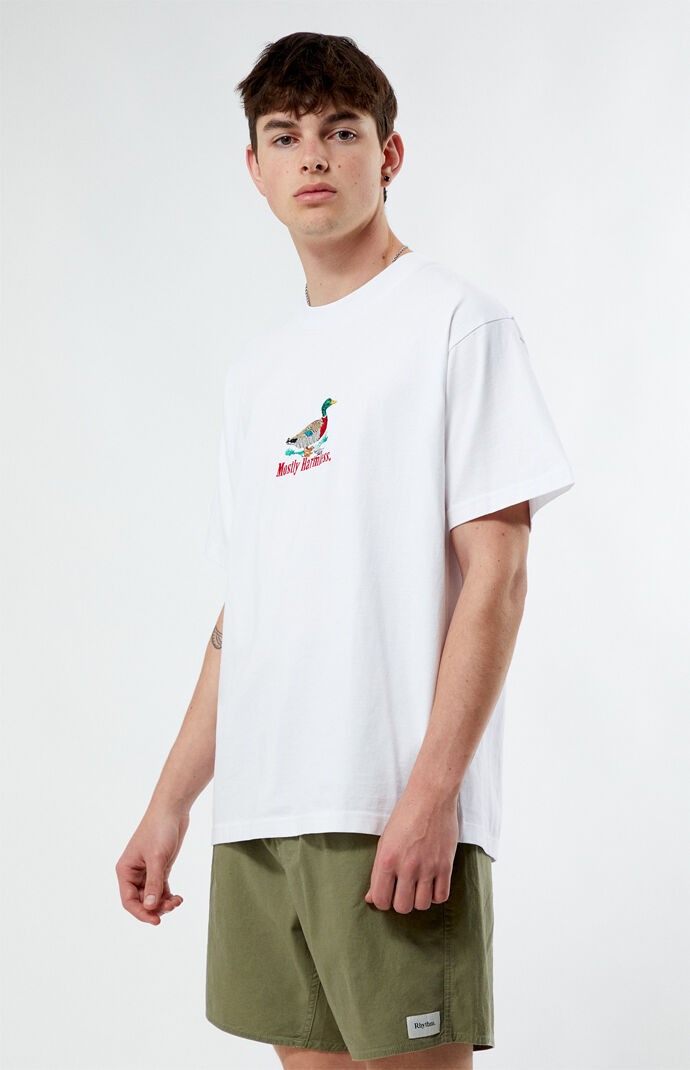 Pacsun Mostly Harmless Embroidered Oversized T-Shirt