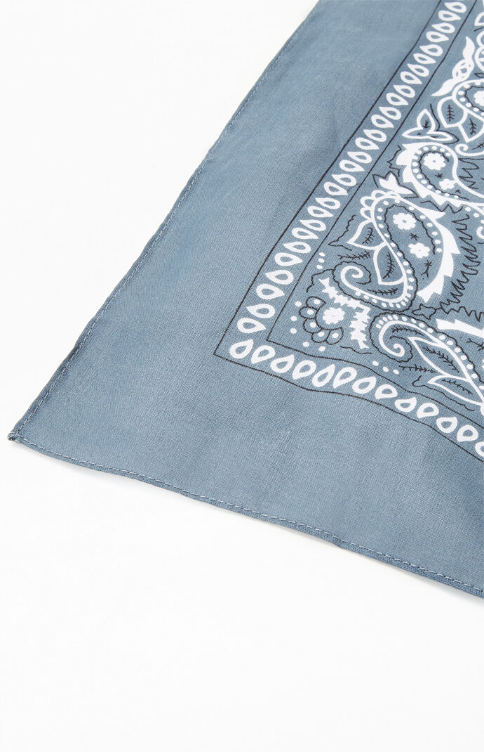 Gray Bandana