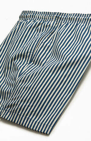 Pinstripe 17" Swim Trunks image number 4