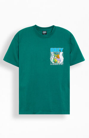 An Abundance Of Life Heavyweight T-Shirt image number 2