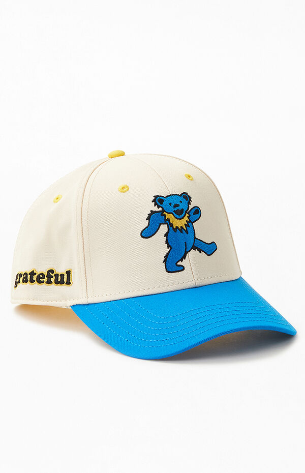 hand in Striped Hassy Grateful Dead Snapback Hat | PacSun