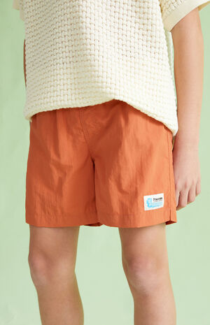 Mango 4.5" Swim Trunks image number 2