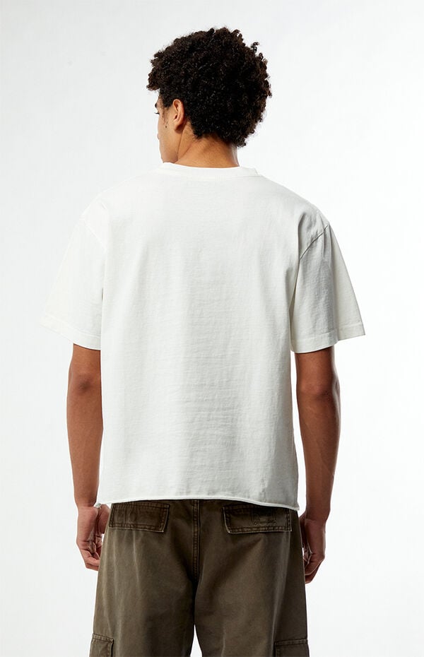 Pacsun White Premium Cropped T-Shirt
