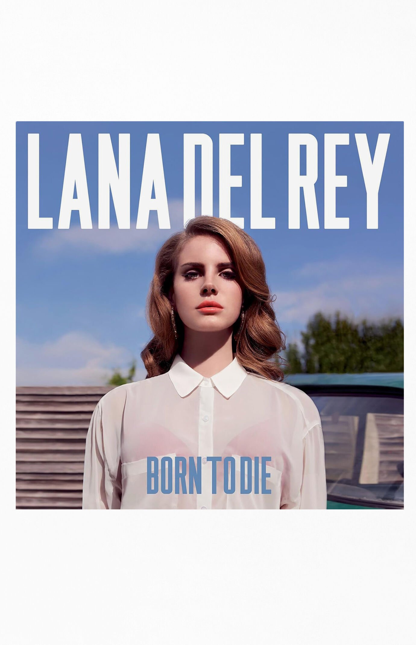 Lana Del Rey Born To Die Vinyl Record