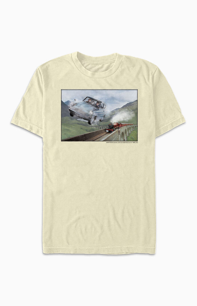 Racing The Train T-Shirt