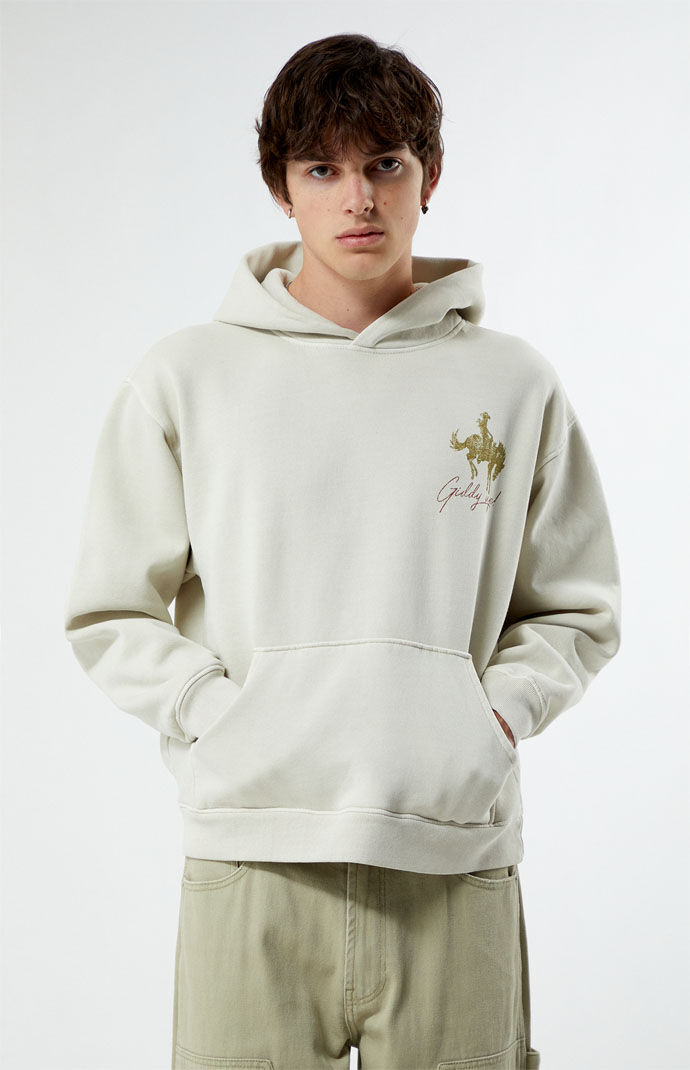 Pacsun hotsell polo hoodie