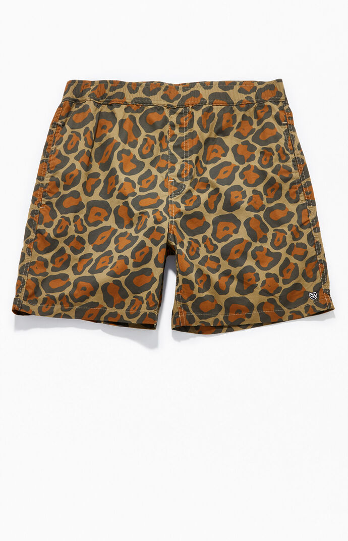Brown Steady Elastic WB Shorts