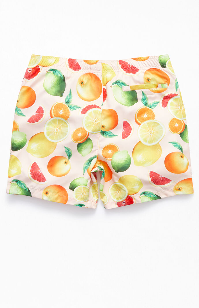 Citrus 17" Swim Trunks