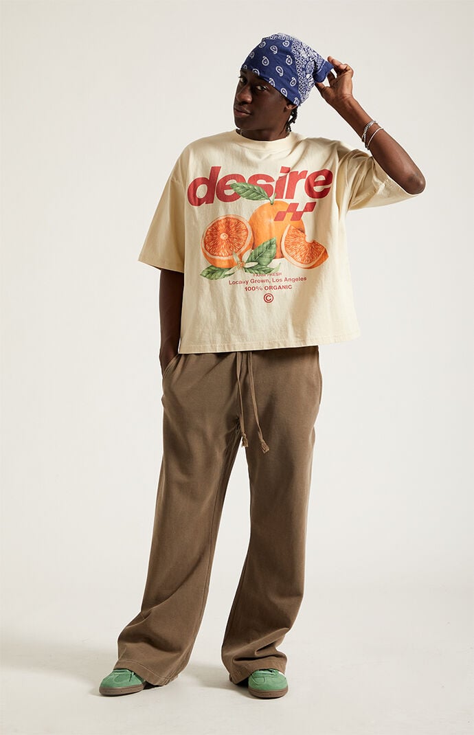 Pacsun Brown Fleece Baggy Bootcut Sweatpants