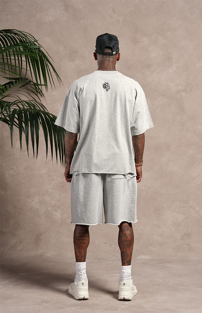 DARC SPORT ATHLETICS 00 Brock Oversized Sweat Shorts | Pacsun