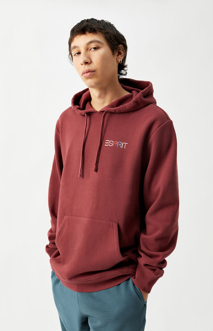 Multicolor Logo Hoodie