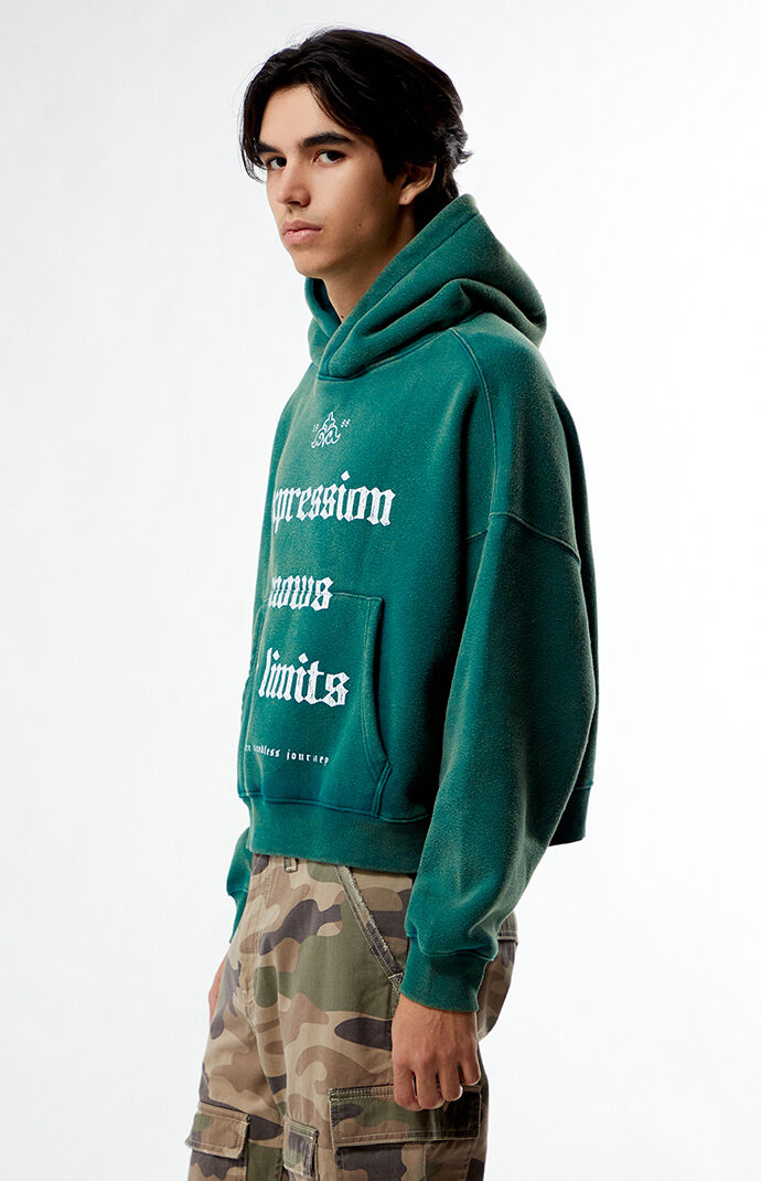 Pacsun Expression Cropped Hoodie | PacSun