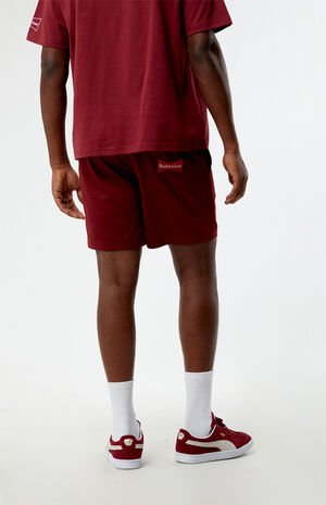 By PacSun Banner Mesh Basketball Shorts image number 4